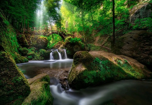 Green forest bridge - bridge, waterfall