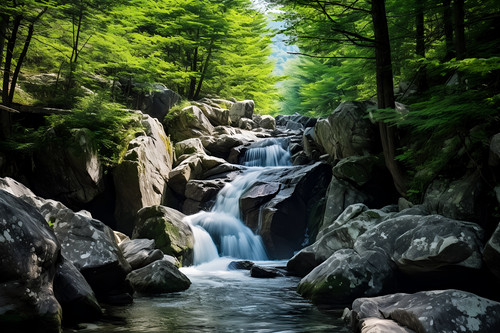 Waterfall woodland forest - woodland,